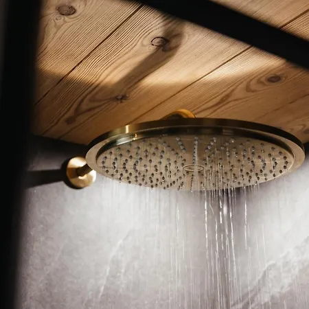 Ludwig's Mountain Apartment Dalaas